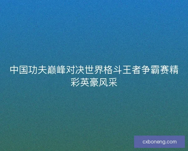 中国功夫巅峰对决世界格斗王者争霸赛精彩英豪风采
